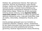 Marius Ivaškevičius ir Madagaskaras 17 puslapis