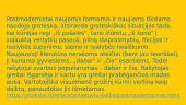 Marius Ivaškevičius. „Madagaskaras“. Apibendrinimas 11 puslapis