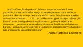 Marius Ivaškevičius. „Madagaskaras“. Apibendrinimas 14 puslapis