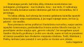 Marius Ivaškevičius. „Madagaskaras“. Apibendrinimas 15 puslapis