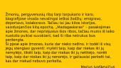 Marius Ivaškevičius. „Madagaskaras“. Apibendrinimas 3 puslapis