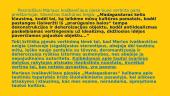 Marius Ivaškevičius. „Madagaskaras“. Apibendrinimas 6 puslapis