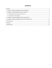 Tarpkultūrinio bendravimo etika 2 puslapis