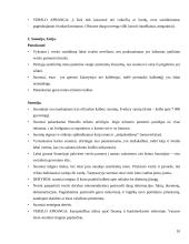 Tarpkultūrinio bendravimo etika 11 puslapis