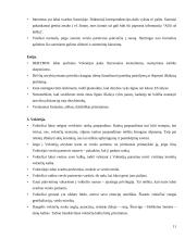 Tarpkultūrinio bendravimo etika 12 puslapis