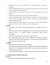 Tarpkultūrinio bendravimo etika 13 puslapis