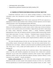 Tarpkultūrinio bendravimo etika 16 puslapis