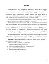 Tarpkultūrinio bendravimo etika 3 puslapis