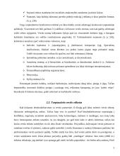 Tarpkultūrinio bendravimo etika 6 puslapis