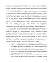 Tarpkultūrinio bendravimo etika 7 puslapis