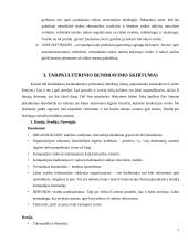 Tarpkultūrinio bendravimo etika 8 puslapis