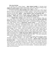 Dievo tema kūryboje