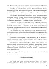 Tarptautinė ekonominė integracija Europos Sąjungos (ES) sistemoje 11 puslapis