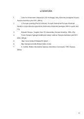 Tarptautinė ekonominė integracija Europos Sąjungos (ES) sistemoje 20 puslapis