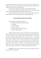 Tarptautinė ekonominė integracija Europos Sąjungos (ES) sistemoje 6 puslapis