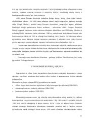 Tarptautinė ekonominė integracija Europos Sąjungos (ES) sistemoje 10 puslapis