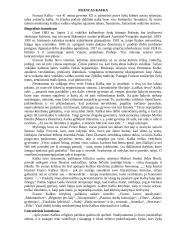 Išsamiai apie Kafką