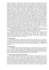 Išsamiai apie Kafką 2 puslapis