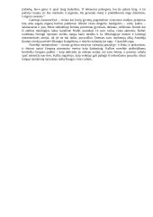 Išsamiai apie Kafką 3 puslapis