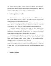 Tarptautinė komunikacija ir globalus marketingas 12 puslapis