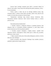 Tarptautinė komunikacija ir globalus marketingas 13 puslapis