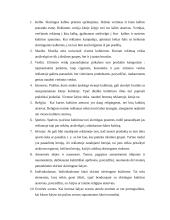 Tarptautinė komunikacija ir globalus marketingas 10 puslapis