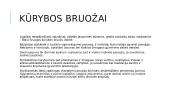 Balys Sruoga. Kūryba. "Dievų miškas" 7 puslapis