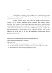 Tarptautinė prekyba ir tarptautinės investicijos 2 puslapis