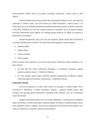 Tarptautinė prekyba ir tarptautinės investicijos 12 puslapis