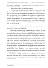 Tarptautinė prekyba - Lietuva 7 puslapis