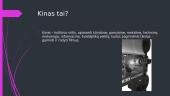Kino meno rūšių aptarimas 2 puslapis