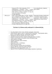 Paciento kasdieninio stebėjimo dienynas 2 puslapis