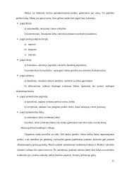 Tarptautinės prekybos samprata bei politika 12 puslapis