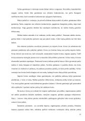 Tarptautinės prekybos samprata bei politika 13 puslapis