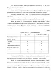 Tarptautinės prekybos samprata bei politika 4 puslapis