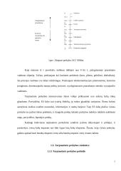 Tarptautinės prekybos samprata bei politika 7 puslapis