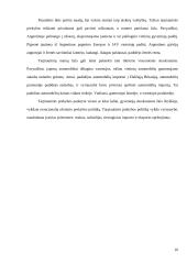 Tarptautinės prekybos samprata bei politika 10 puslapis