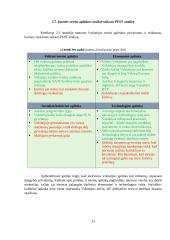 Inovatyvios verslo idėjos gyvybingumo pagrindimas bei jos įgyvendinimo tarptautinėse rinkose  planavimas 12 puslapis