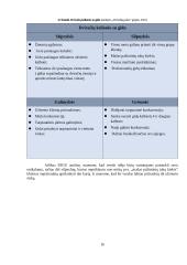 Inovatyvios verslo idėjos gyvybingumo pagrindimas bei jos įgyvendinimo tarptautinėse rinkose  planavimas 15 puslapis