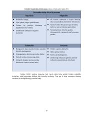 Inovatyvios verslo idėjos gyvybingumo pagrindimas bei jos įgyvendinimo tarptautinėse rinkose  planavimas 16 puslapis