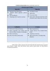 Inovatyvios verslo idėjos gyvybingumo pagrindimas bei jos įgyvendinimo tarptautinėse rinkose  planavimas 18 puslapis