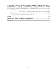 Inovatyvios verslo idėjos gyvybingumo pagrindimas bei jos įgyvendinimo tarptautinėse rinkose  planavimas 2 puslapis