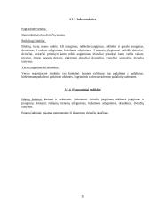 Inovatyvios verslo idėjos gyvybingumo pagrindimas bei jos įgyvendinimo tarptautinėse rinkose  planavimas 20 puslapis