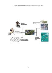 Inovatyvios verslo idėjos gyvybingumo pagrindimas bei jos įgyvendinimo tarptautinėse rinkose  planavimas 6 puslapis