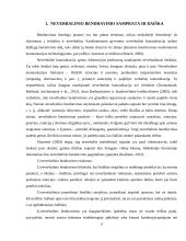 Neverbalinis bendravimas: jo svarba, raiška asmens gyvenime bei verslo sektoriuje 3 puslapis