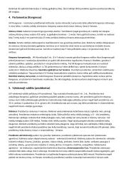 JAV lyginamoji konstitucija 2 puslapis