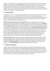 JAV lyginamoji konstitucija 3 puslapis