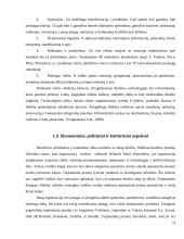 Tarptautinės konkurencijos strategija: United Colors of Benetton 11 puslapis