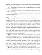 Tarptautinės konkurencijos strategija: United Colors of Benetton 13 puslapis