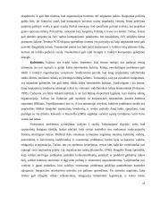 Tarptautinės konkurencijos strategija: United Colors of Benetton 14 puslapis